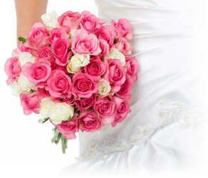 New Bride
